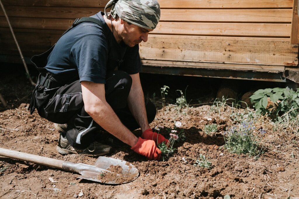 Mężczyzna w rękawicach sadzi kwiaty w ziemi przy drewnianym budynku, obok leży łopata